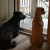 Tina Cushing - Facebook