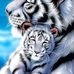Tina Marie Cushing - Facebook