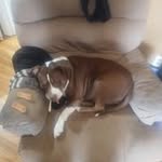 Tina Marie Cushing - @cushingtina1972 - Instagram