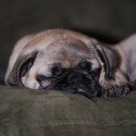 Tina Dailey - @tdailey811 - Instagram