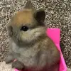 tinadailey0 - @tinadailey0 - TikTok