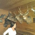 Tina Eppler Darnell - @tinkabell1964 - Instagram