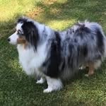 Tina Pinter-Darnell - @pinterdarnell - Instagram