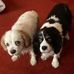 Tina Davison - Facebook