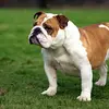 Tina Denson - @tina.denson5 - TikTok