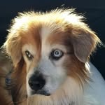 Tina Derrick Paulsen - @tina_in_maz - Instagram