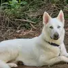 John - @tina.dill - TikTok