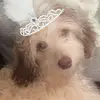 🎀 Tina 🎀 - @tinado0701 - TikTok