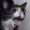 tina - @tinado23 - TikTok