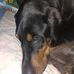 Tina Doane - Facebook