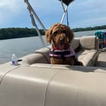 Tina Downs - @tallen2 - Instagram