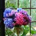 Tina Drescher - Facebook