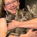 Tina Marie Flewelling Drescher - @karma_the_kitty235 - Instagram