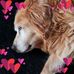 Tina Elkins Ducote - Facebook