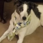 Tina Duke - @tinaduke13 - Instagram