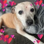 Tina Duke - @voguenluna - Instagram