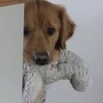 Tina Duke-Padgett - @sweetheartcityhuntress - Instagram