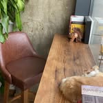 Tina Dunkle - @dunkle1156 - Instagram