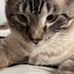 Tina Eaker - Facebook