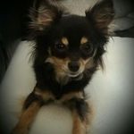 Tina van Eck - @tinavaneck - Instagram