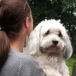 Tina Eggert - @tina_de_vun_hoeni - Instagram