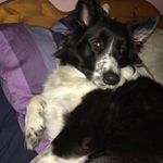 Tina Eggert Kofoed - @tina.kofoed - Instagram