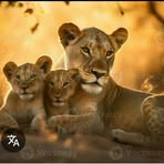 Diana Eicher - Facebook