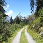 Tina Eicher - @t.eicher8840 - Instagram