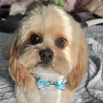 Tina Hollingsworth Eldridge - @tinajo45 - Instagram