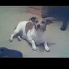 tinaemrick05 - @tinaemrick05 - TikTok