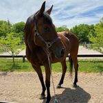 Tina Estep Rihaly - @tinaestep - Instagram