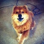 Tina Fair - @auburntexas881175 - Instagram