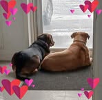 Tina Farrell - Facebook