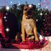 Tina Farthing - Facebook