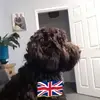 Tina Farthing - @tina.farthing - TikTok
