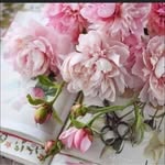 Tina Farthing - @tf2470 - Instagram