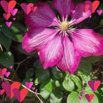 Tina Farthing - @tina.titch - Instagram
