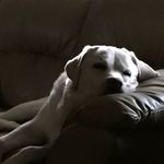 Tina M Fawcett Jordan - @tinafawcettjordan - Instagram