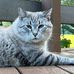 Tina Feaster - Facebook