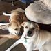 Tina Fenner - Facebook