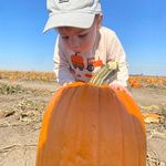 Tina Fenner Tuttle - @tuttut58 - Instagram