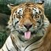 Tina Flickinger - Facebook