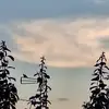 EMELJA🧿🧿🧿 - @fotinafoti - TikTok