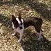 Tina Gaines - Facebook