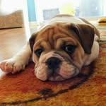 Tina Gilmer - @our_girl_hazel - Instagram
