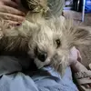 Tina Glover - @tina.glover62 - TikTok