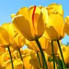 Tina Glover - @tina.glover84 - TikTok