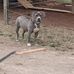 Tina Goode - Facebook