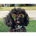 Tina Groff - Facebook