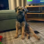 Tina - @tinahalstead61 - Instagram